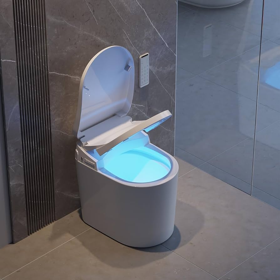 Smart Toilet Seat